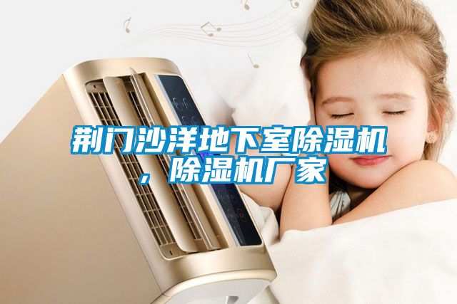 荊門沙洋地下室除濕機，除濕機廠家