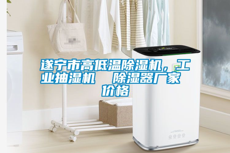 遂寧市高低溫除濕機，工業抽濕機  除濕器廠家 價格