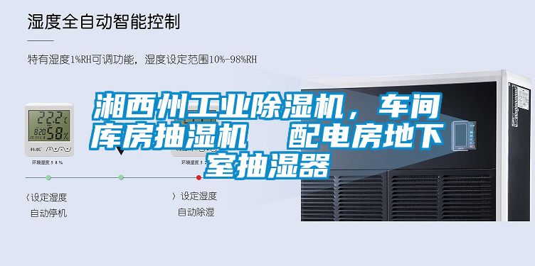 湘西州工業除濕機，車間庫房抽濕機  配電房地下室抽濕器