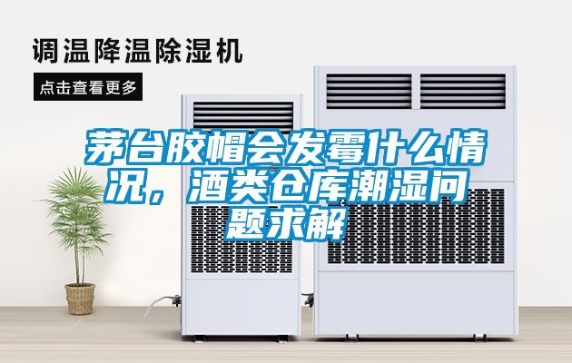 茅臺膠帽會發霉什么情況，酒類倉庫潮濕問題求解