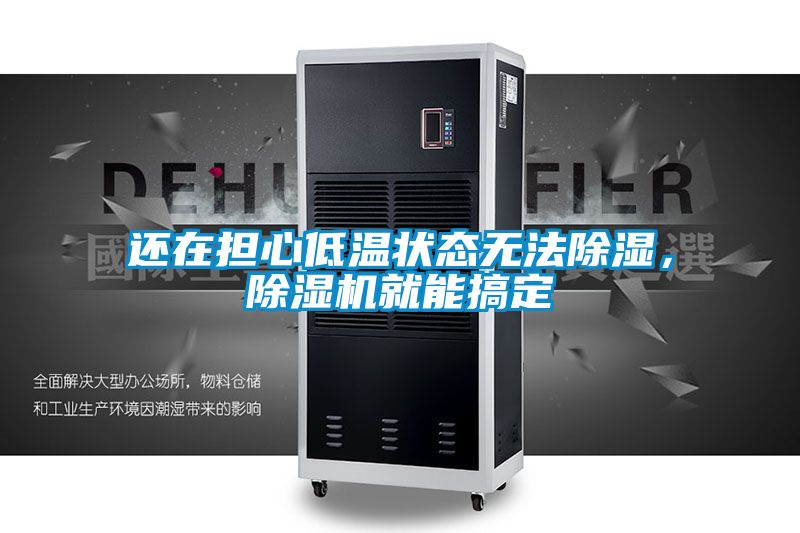 還在擔心低溫狀態無法除濕，除濕機就能搞定