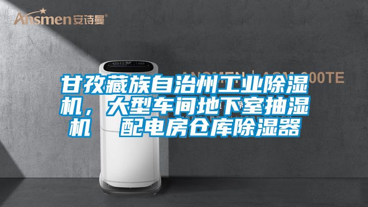 甘孜藏族自治州工業除濕機，大型車間地下室抽濕機  配電房倉庫除濕器