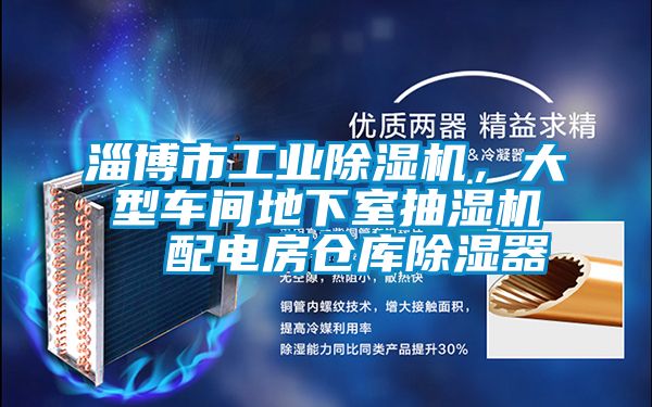 淄博市工業除濕機，大型車間地下室抽濕機  配電房倉庫除濕器