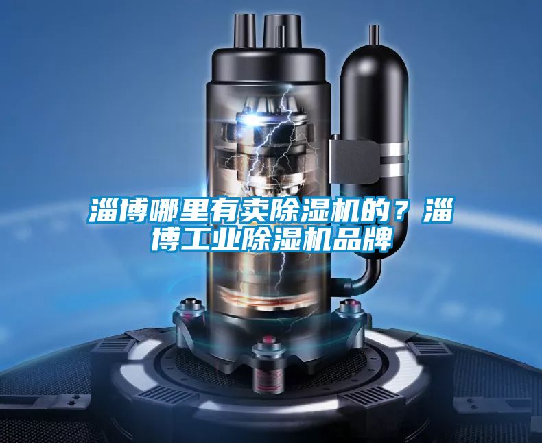 淄博哪里有賣除濕機的？淄博工業除濕機品牌