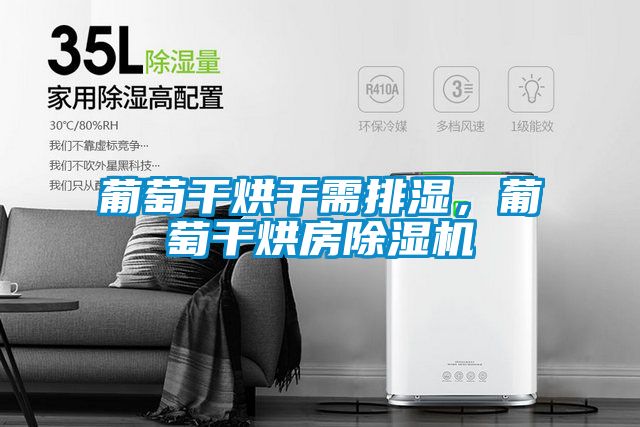 葡萄干烘干需排濕，葡萄干烘房除濕機
