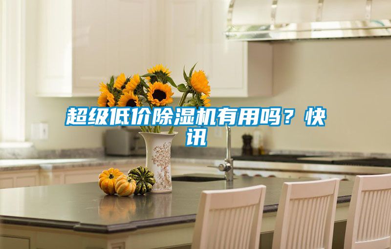 超級低價除濕機有用嗎？快訊