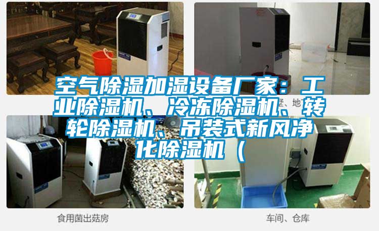 空氣除濕加濕設備廠家：工業除濕機、冷凍除濕機、轉輪除濕機、吊裝式新風凈化除濕機（