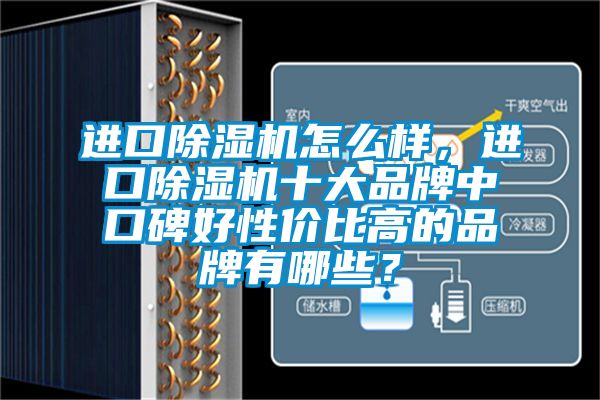 進口除濕機怎么樣，進口除濕機十大品牌中口碑好性價比高的品牌有哪些？