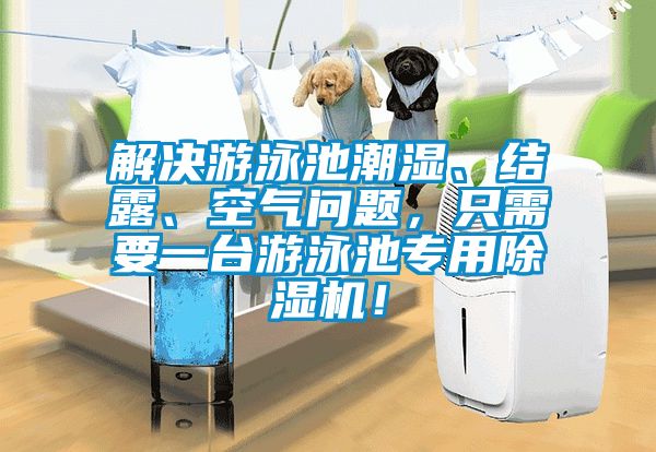 解決游泳池潮濕、結露、空氣問題，只需要一臺游泳池專用除濕機！