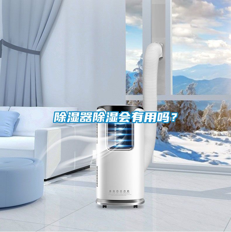 除濕器除濕會有用嗎？