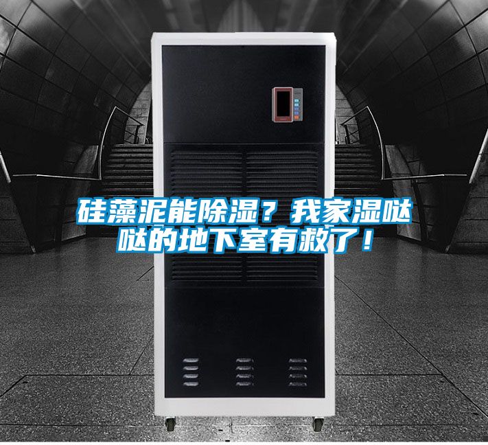 硅藻泥能除濕？我家濕噠噠的地下室有救了！
