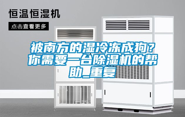 被南方的濕冷凍成狗？你需要一臺除濕機的幫助_重復