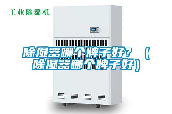 除濕器哪個牌子好？（除濕器哪個牌子好）