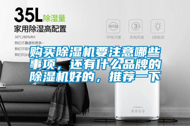 購買除濕機要注意哪些事項，還有什么品牌的除濕機好的，推薦一下
