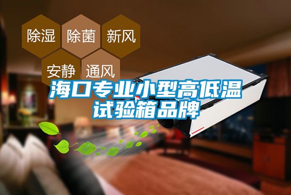 ?？趯I小型高低溫試驗箱品牌