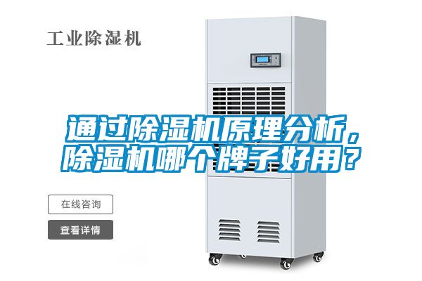 通過除濕機原理分析，除濕機哪個牌子好用？