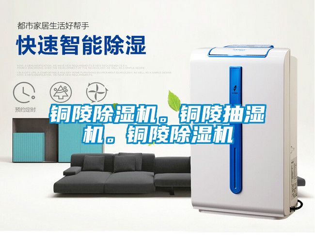 銅陵除濕機。銅陵抽濕機。銅陵除濕機