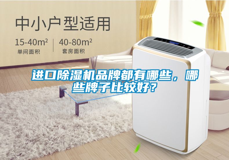 進口除濕機品牌都有哪些，哪些牌子比較好？