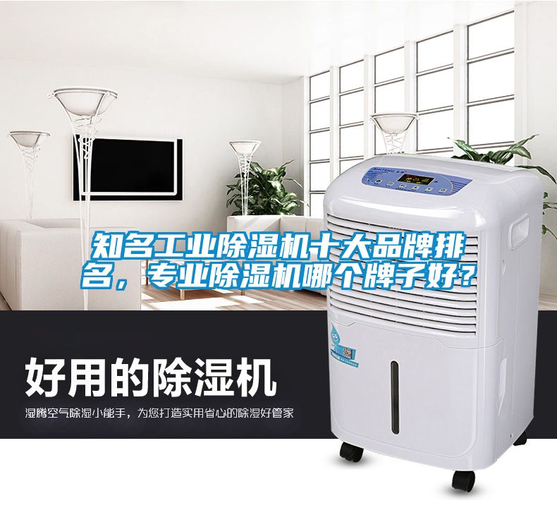 知名工業除濕機十大品牌排名，專業除濕機哪個牌子好？