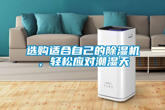 選購適合自己的除濕機，輕松應對潮濕天