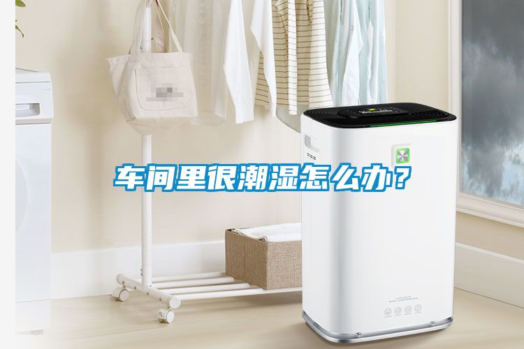車間里很潮濕怎么辦？