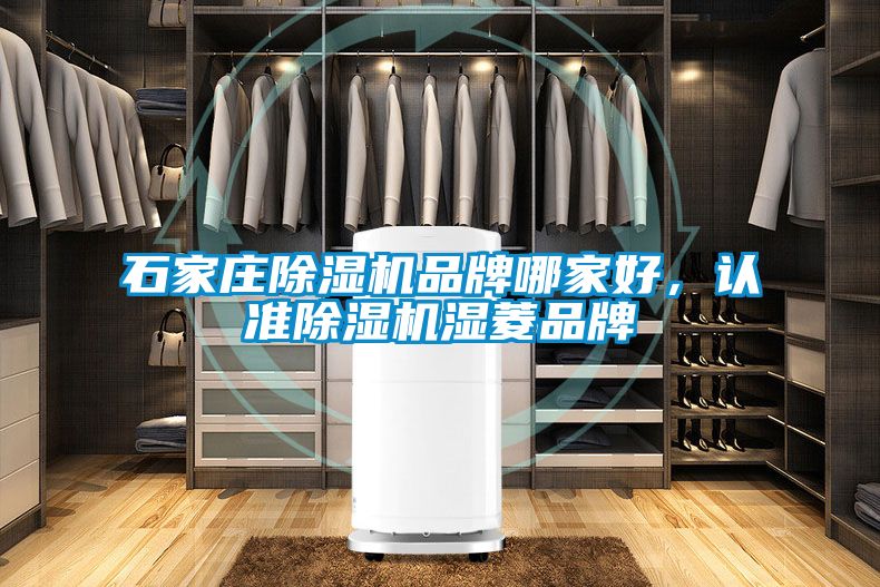 石家莊除濕機品牌哪家好，認準除濕機濕菱品牌