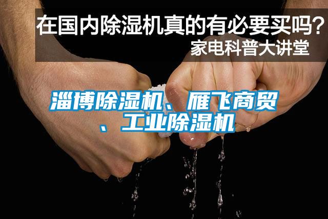 淄博除濕機、雁飛商貿、工業除濕機