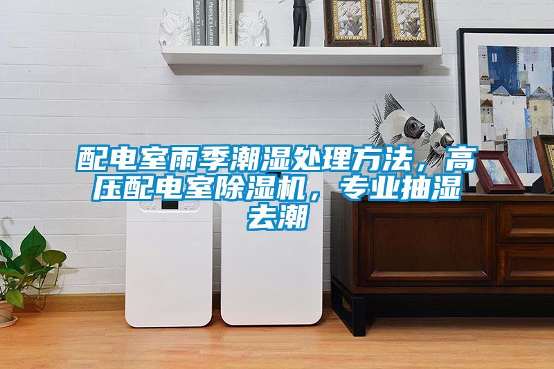 配電室雨季潮濕處理方法，高壓配電室除濕機，專業抽濕去潮
