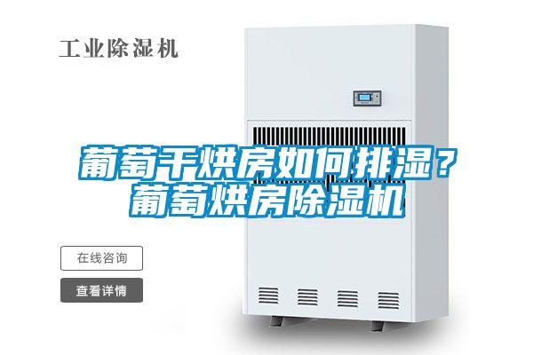葡萄干烘房如何排濕？葡萄烘房除濕機