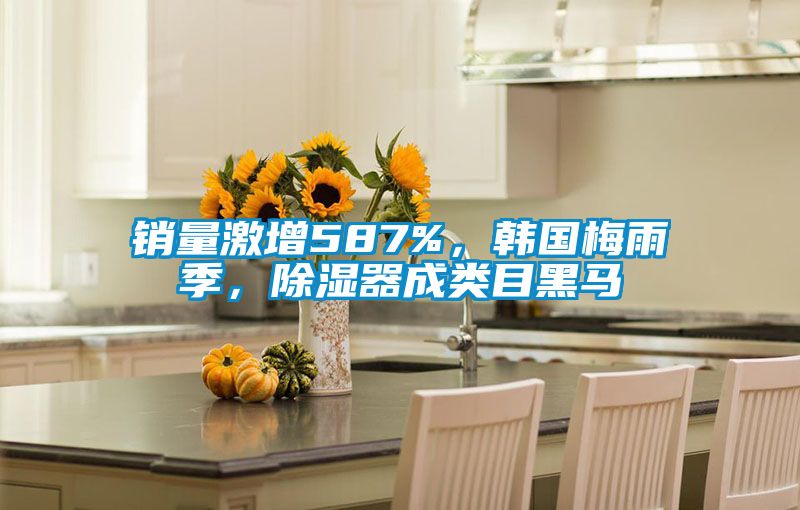 銷量激增587%，韓國梅雨季，除濕器成類目黑馬