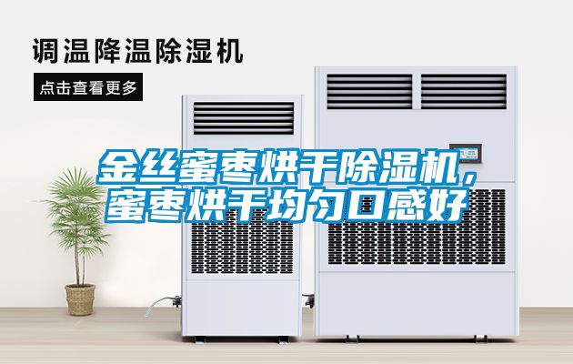 金絲蜜棗烘干除濕機，蜜棗烘干均勻口感好