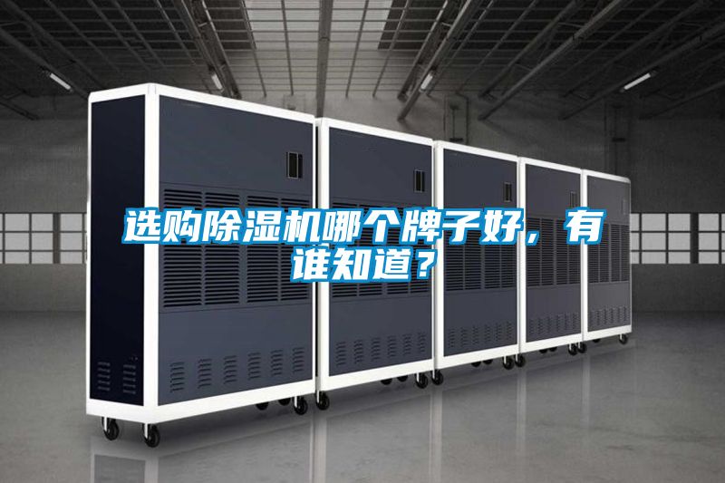 選購除濕機哪個牌子好，有誰知道？