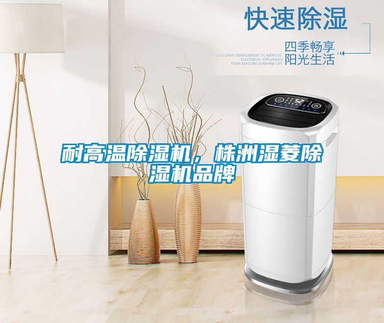 耐高溫除濕機，株洲濕菱除濕機品牌