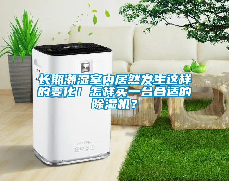 長期潮濕室內居然發生這樣的變化！怎樣買一臺合適的除濕機？