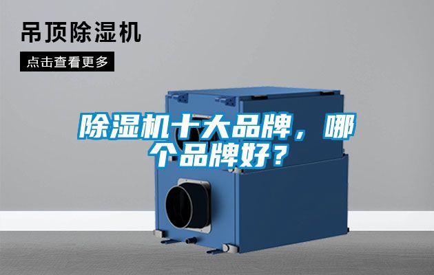 除濕機十大品牌，哪個品牌好？