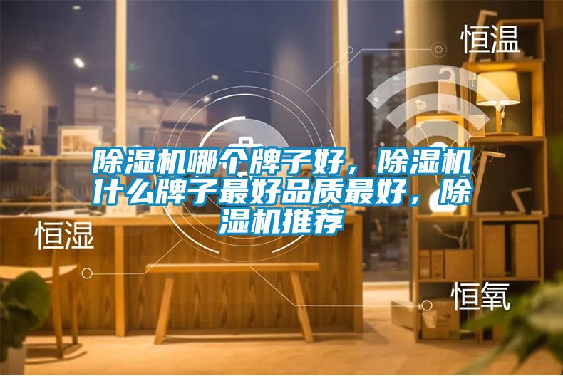 除濕機哪個牌子好，除濕機什么牌子最好品質最好，除濕機推薦