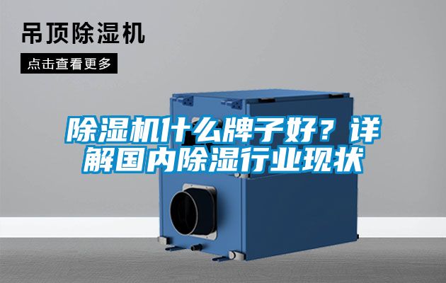 除濕機什么牌子好？詳解國內除濕行業現狀