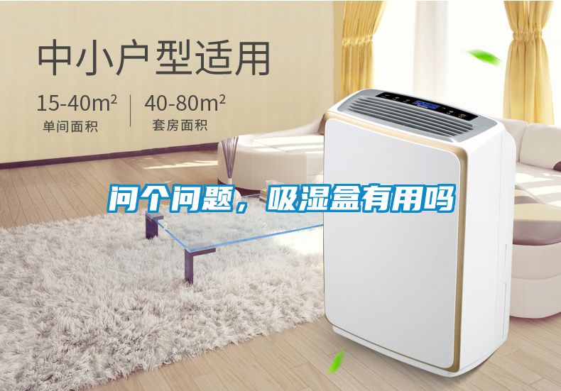 問個問題，吸濕盒有用嗎
