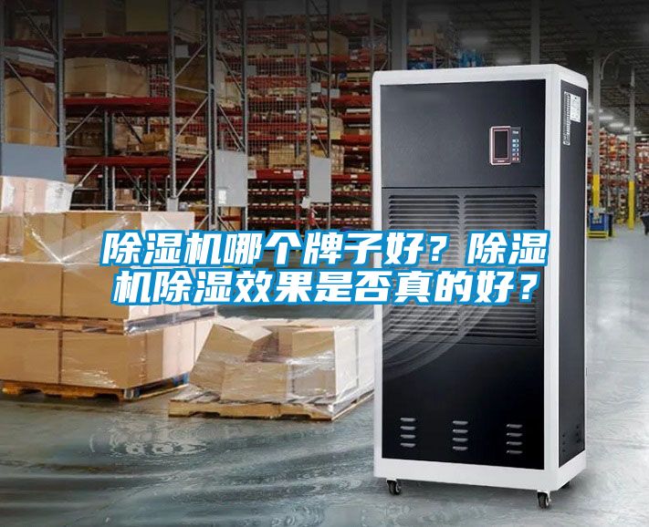 除濕機哪個牌子好？除濕機除濕效果是否真的好？