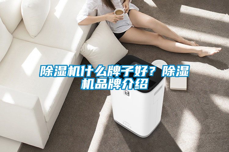 除濕機什么牌子好？除濕機品牌介紹