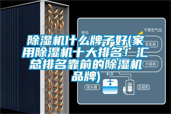 除濕機什么牌子好(家用除濕機十大排名！匯總排名靠前的除濕機品牌)