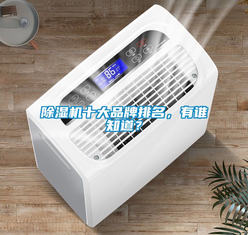 除濕機十大品牌排名，有誰知道？