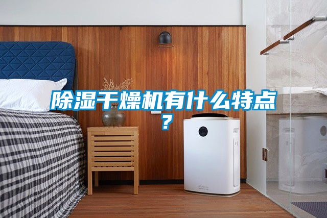 除濕干燥機有什么特點？