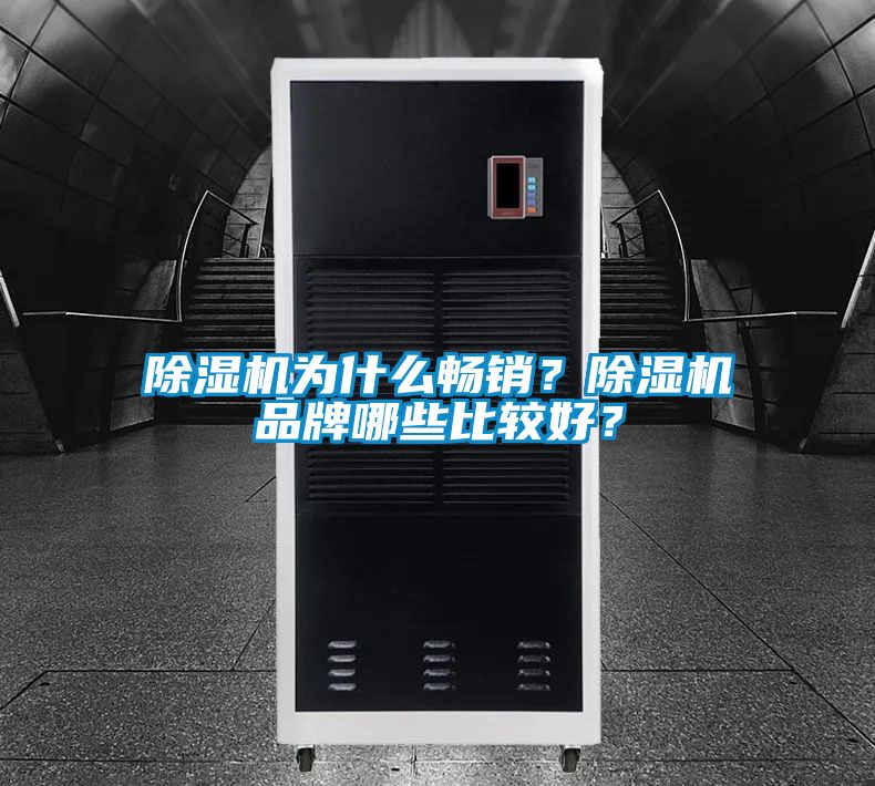 除濕機為什么暢銷？除濕機品牌哪些比較好？