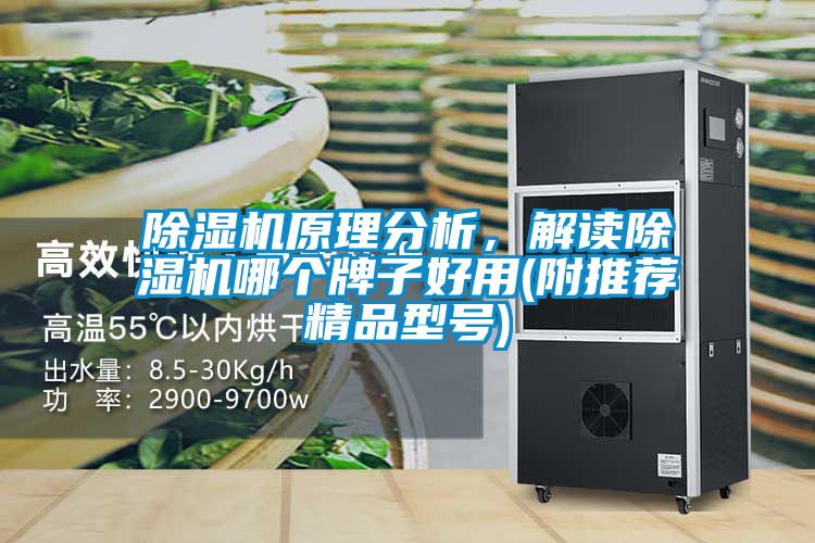 除濕機原理分析，解讀除濕機哪個牌子好用(附推薦精品型號)