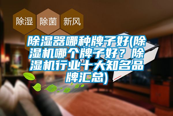 除濕器哪種牌子好(除濕機哪個牌子好？除濕機行業十大知名品牌匯總)