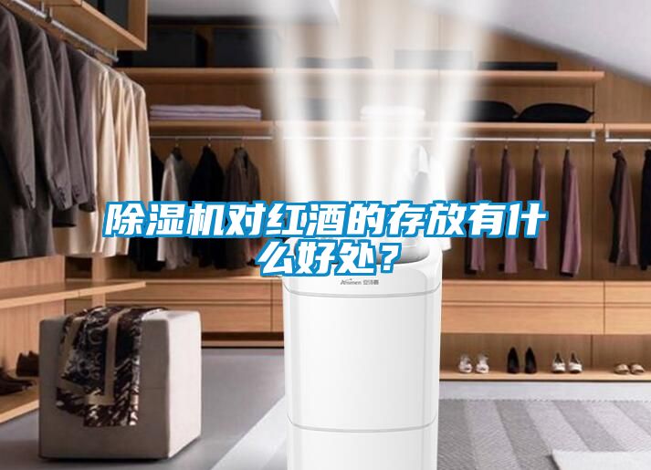 除濕機對紅酒的存放有什么好處？