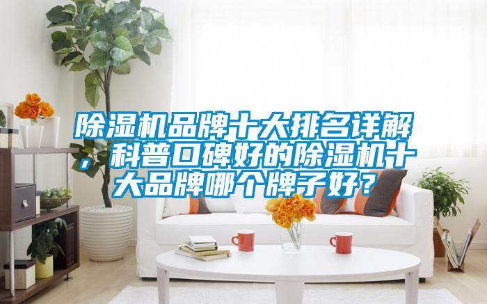除濕機品牌十大排名詳解，科普口碑好的除濕機十大品牌哪個牌子好？