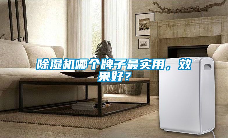 除濕機哪個牌子最實用，效果好？