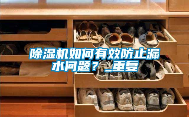 除濕機如何有效防止漏水問題？_重復